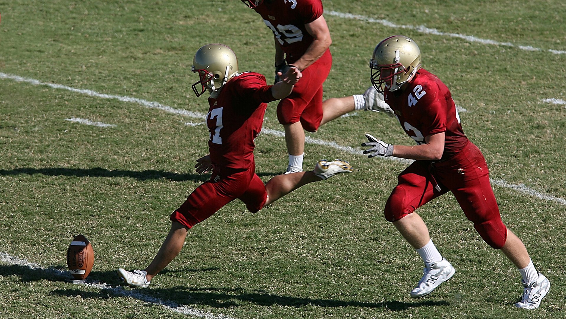 -克罗地亚马术协会建立马匹基因数据库，促进马匹选育与训练。，克罗地亚 马可波罗
