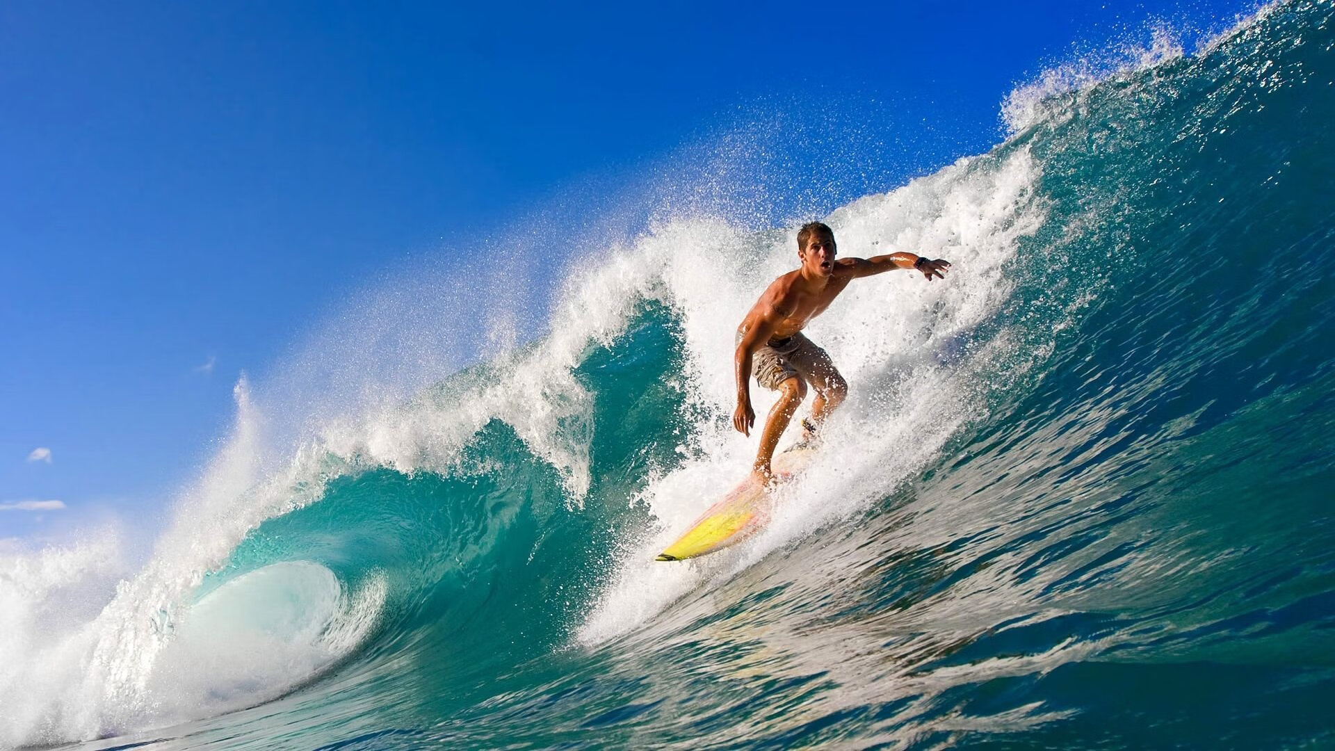 kaiyun.com-特色古典马术表演，演绎千年传统技艺，马术古典舞步